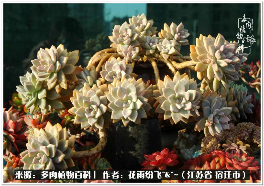 回味童年无忧无虑的快乐时光,童年最快乐的时光