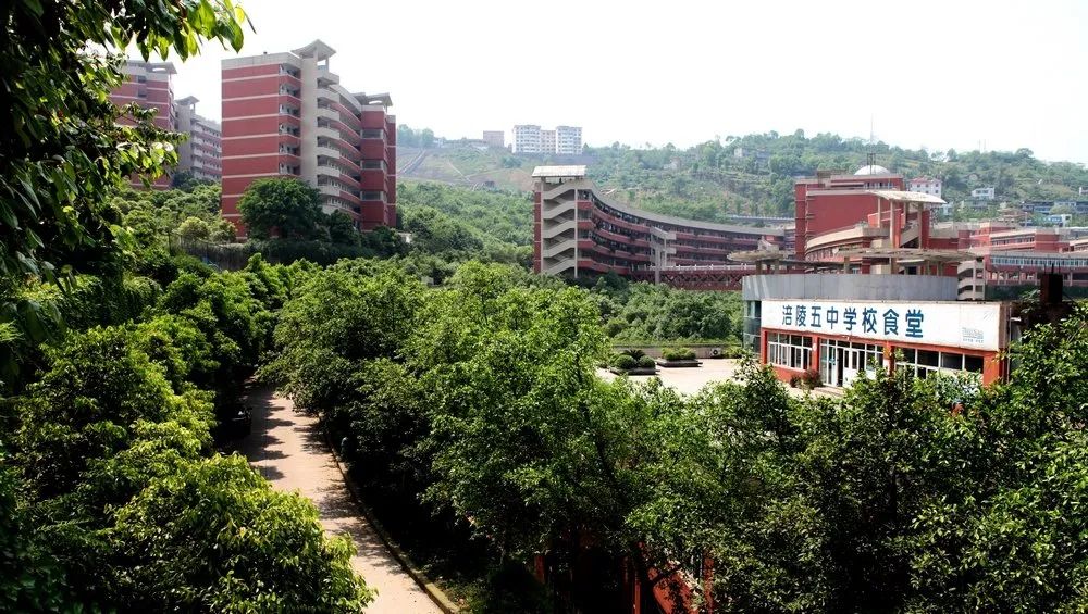 七龙珠2021重庆初中排名,2021重庆七龙珠高考升学率