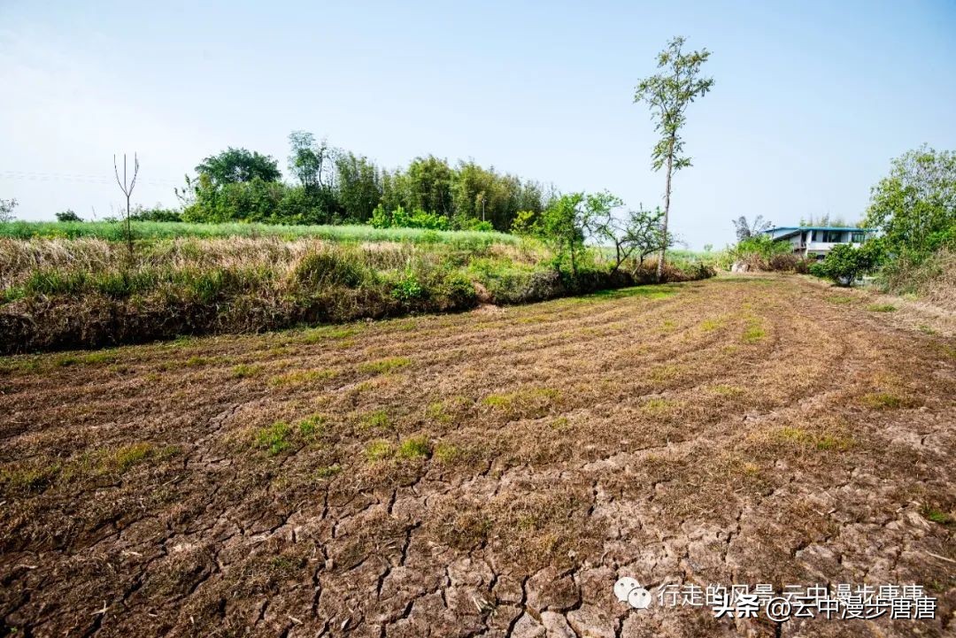 越江码头轮渡,越江轮渡在哪里