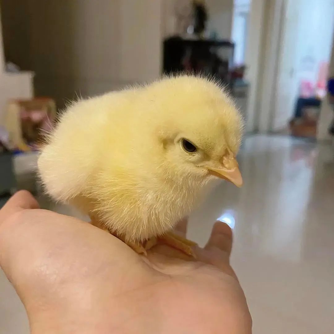 请不要打扰别人的幸福什么意思,请勿轻易打扰别人的小幸福