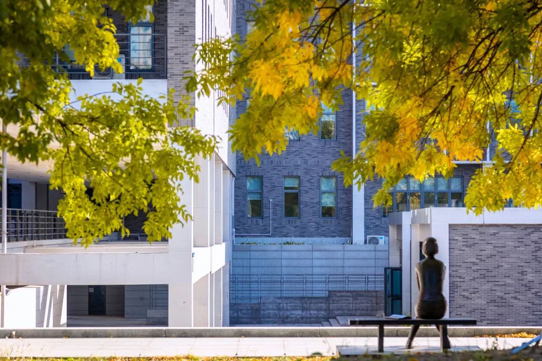 考北航要政审吗,上北航