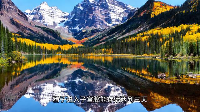 致命搜索漫画,致命搜索小说全本