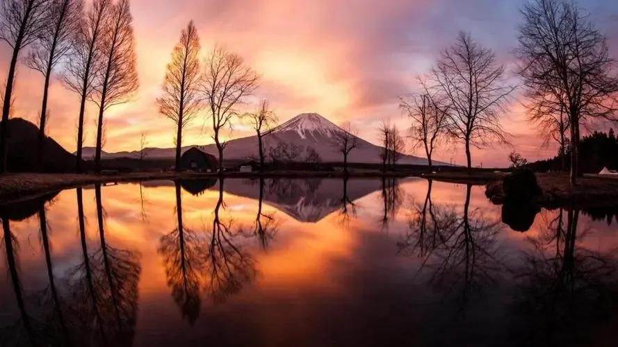 七种常见梦境的心理解析,心理暗示的秘密是什么