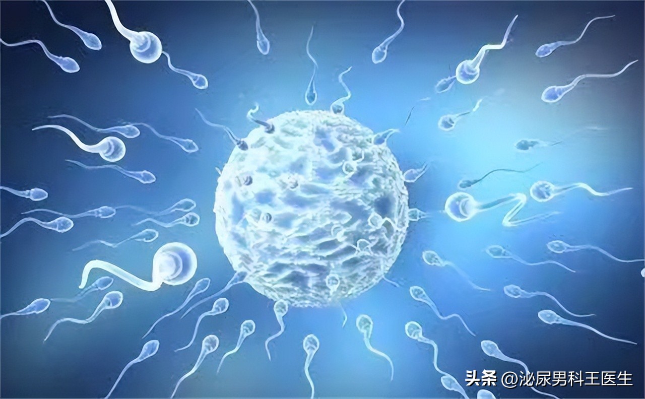 进入女性体内，没有成功“受精”的精子，都怎样了？