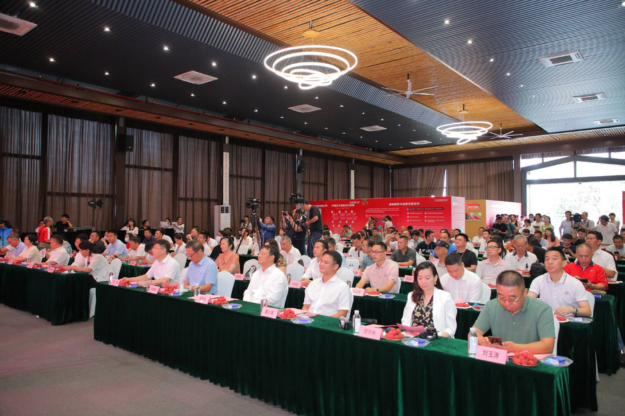 “荔”争上游，从化当“鲜”