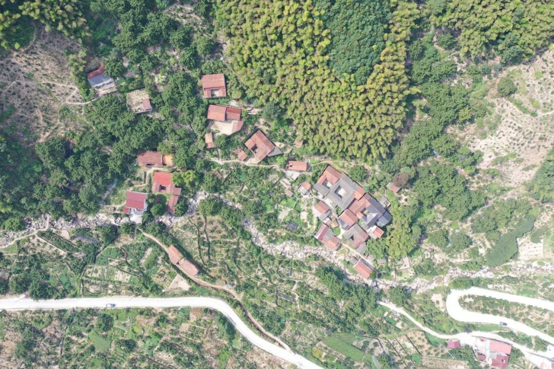 嵊州市深耕案例┃归璞“一庭园三基地”共建农村共富之路