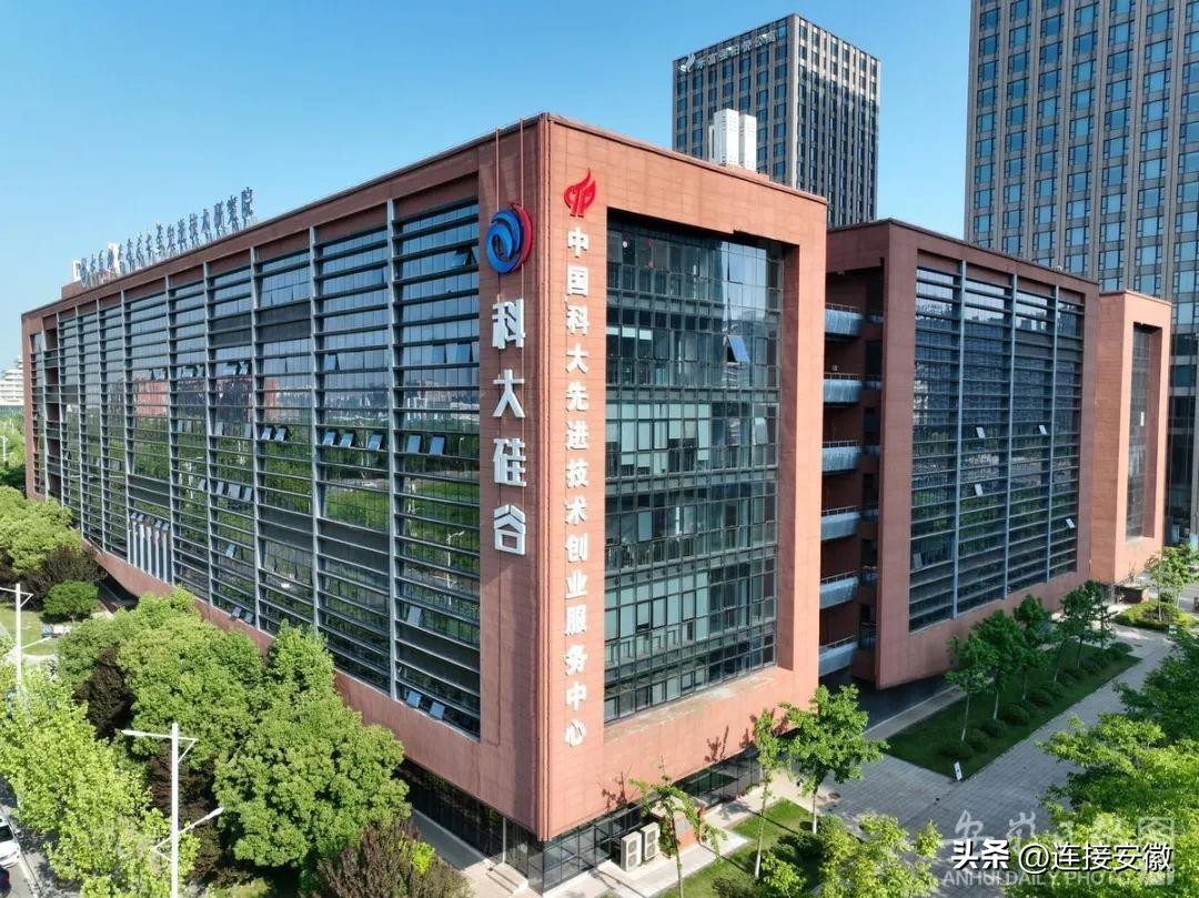 李斌、倪泽望、陈天石、李西廷……这些头部企业家为安徽发声