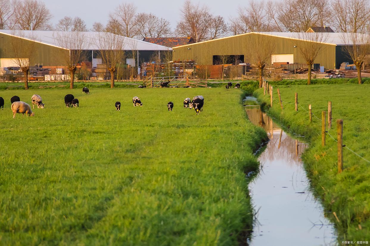 2023年农业的新政策补贴,国家2023年农业补贴包括哪些项目