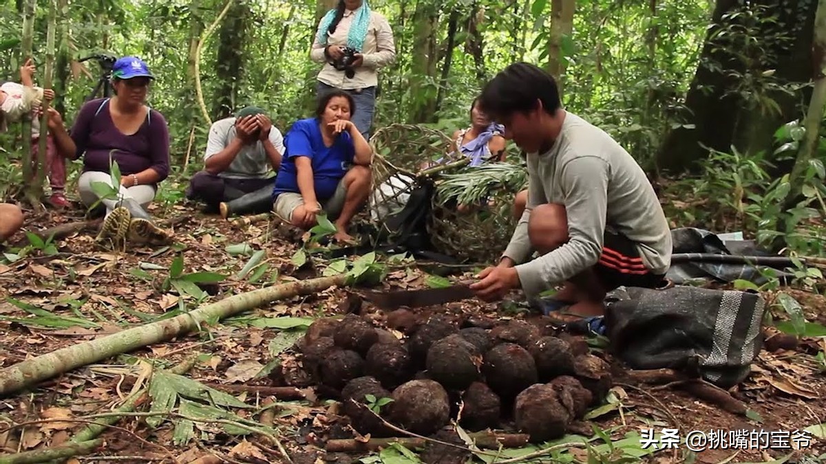 坐在赤道上，气候似云南的南美小国，数百种水果让人口水不断