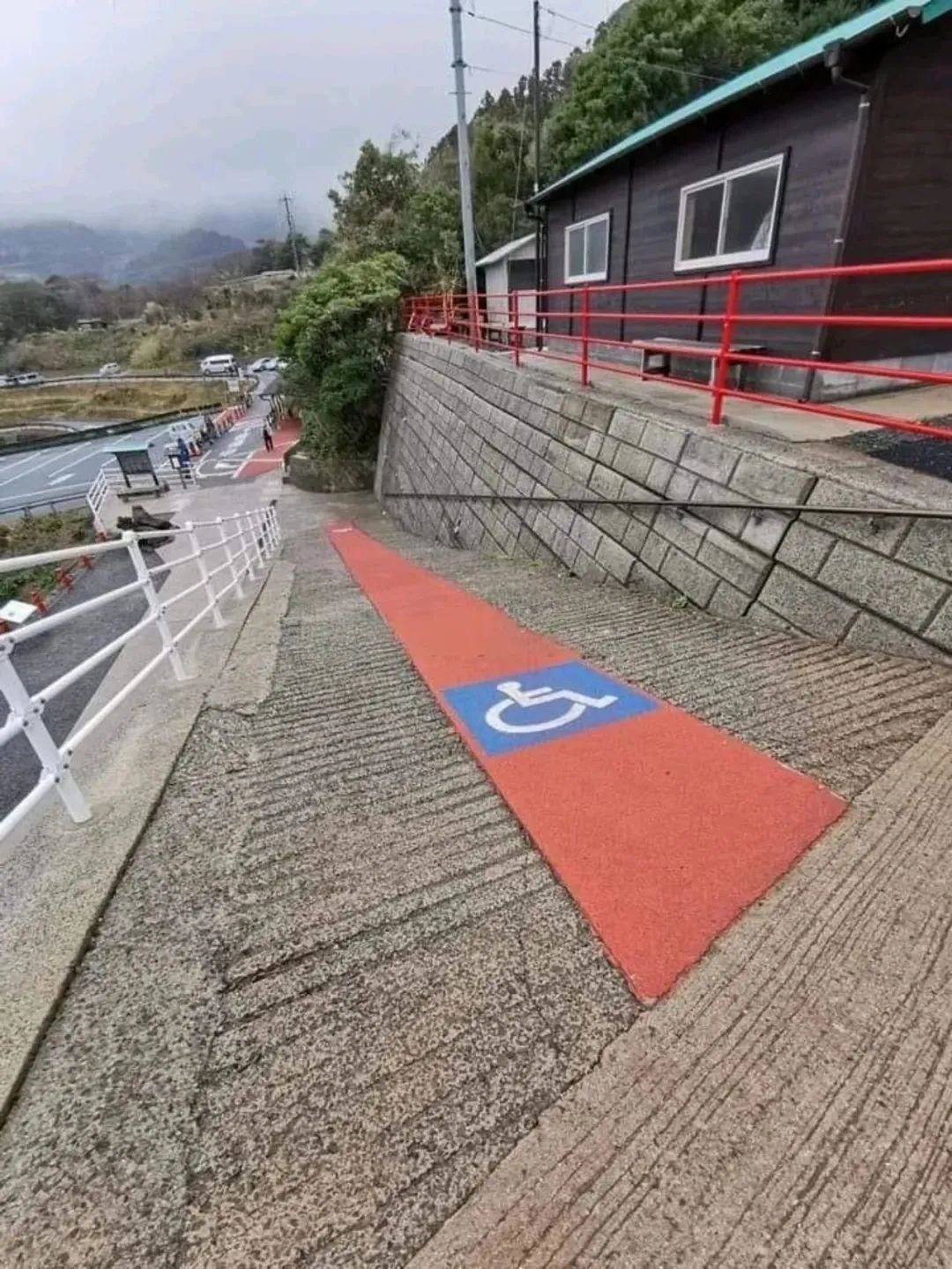 “已转发到公司群，希望领导能懂”