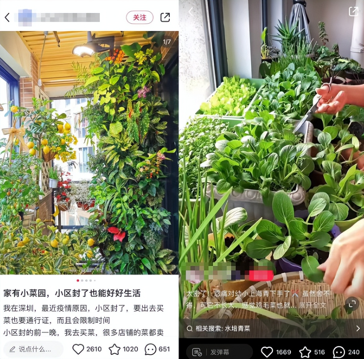 娣樺疂鍗佸ぇ瀹濊礉,娣樺疂骞村害鍗佸ぇ鍟嗗搧