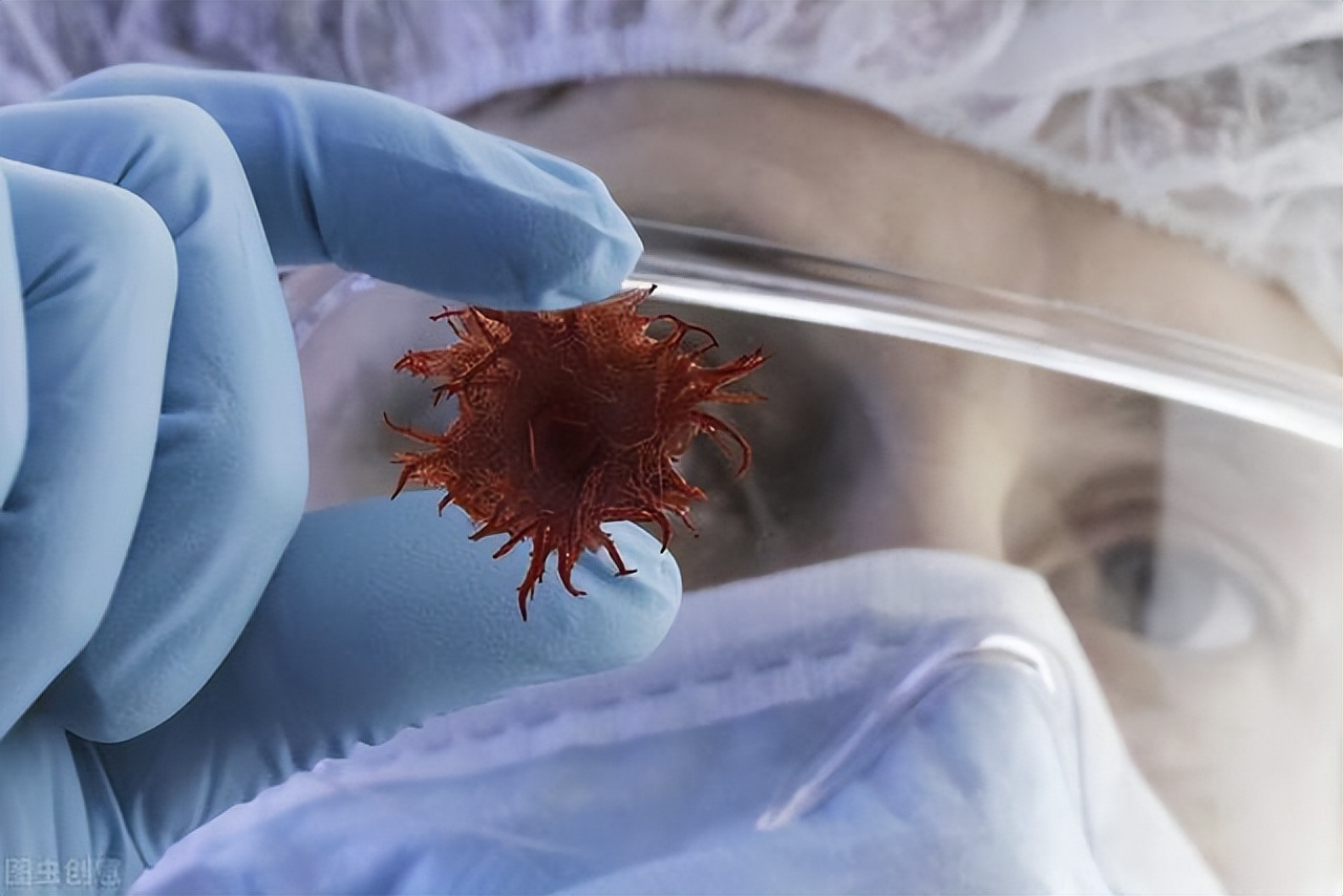 为啥癌症越来越多？建议：7种“自带毒素”的野菜，能别吃就别吃