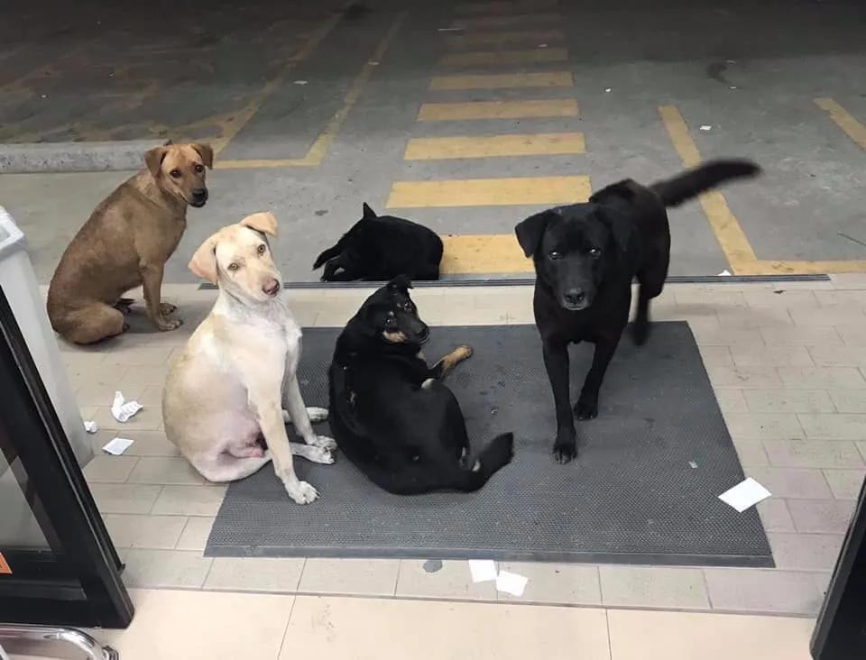 “遍地诱惑”的奇葩国度泰国现状，带你看看泰国冷知识