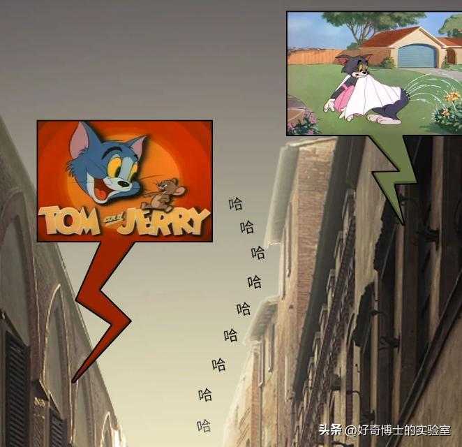 《猫和老鼠》其实不是儿童动画片而是成人片