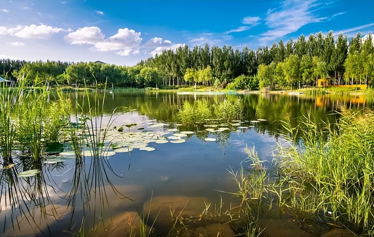 全国最轻易迷路的城市,中国最容易迷路的大学