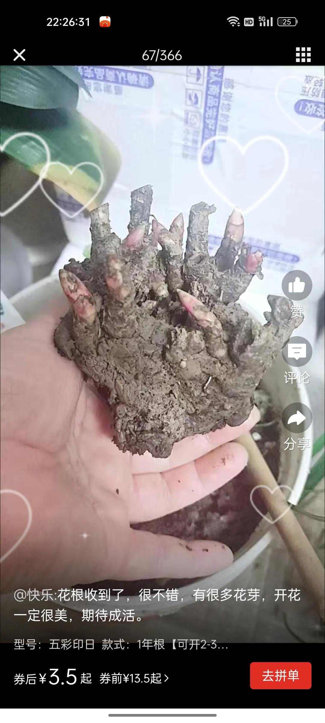 网上卖假花靠谱吗,花卉市场骗人的套路