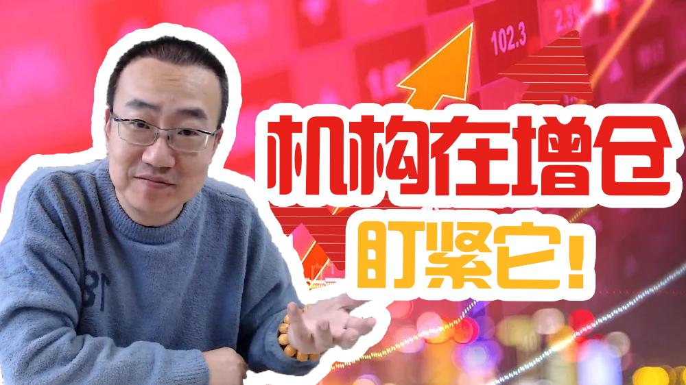 严为民投资了哪个券商,严为民盯盘