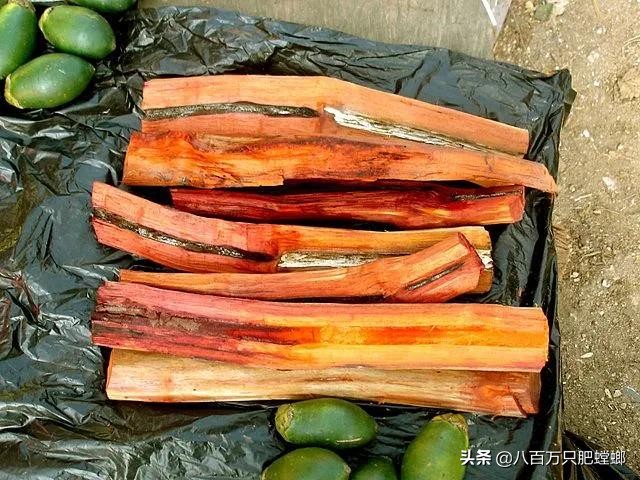 本命年红裤腰带是什么样子的,有本命年穿的红裤吗