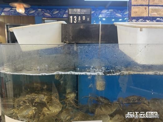 武汉哪个地方的螃蟹最新鲜最好,武汉螃蟹什么时候最便宜