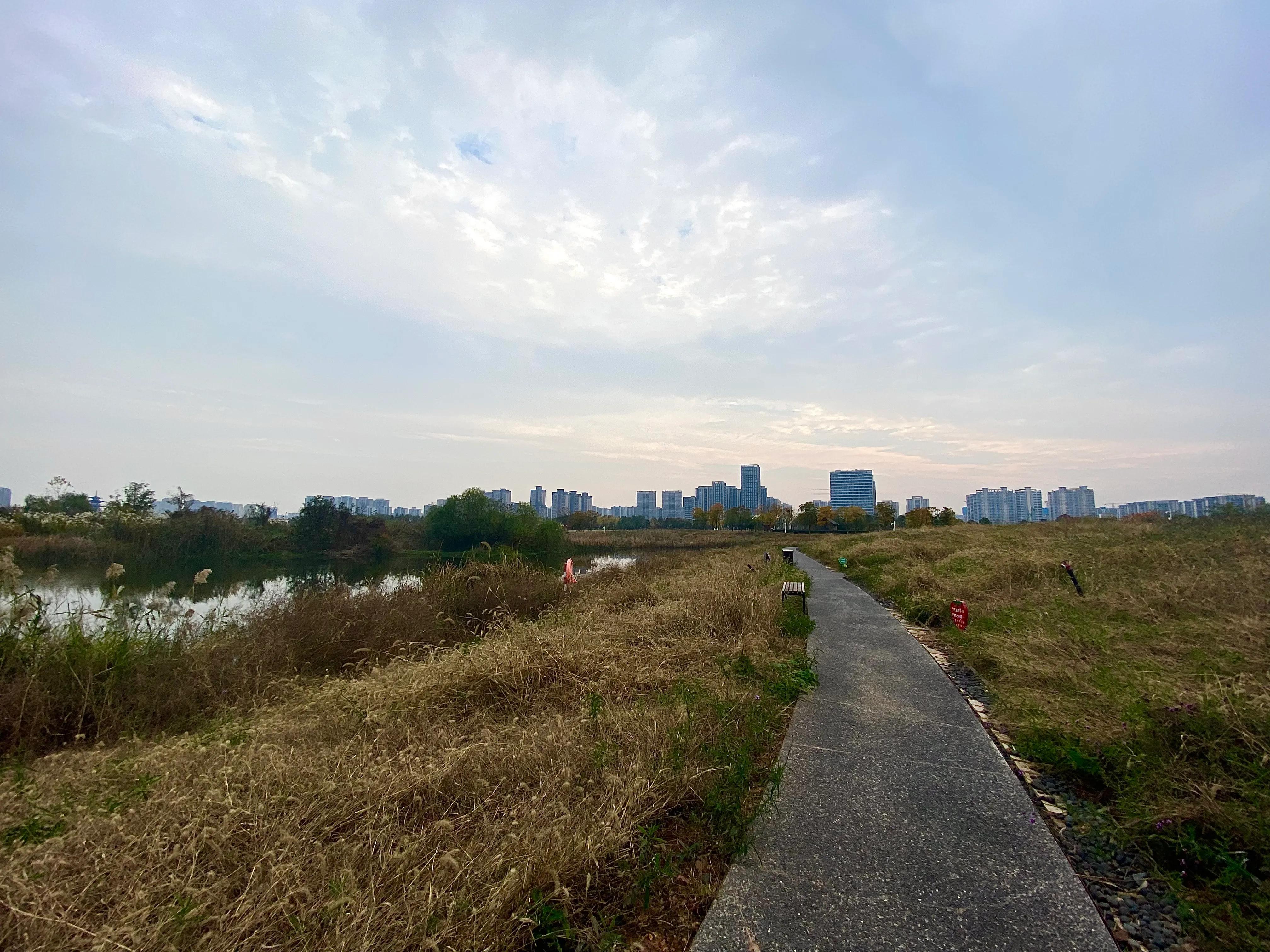 长沙洋湖湿地公园景点,长沙洋湖湿地公园绿化实景