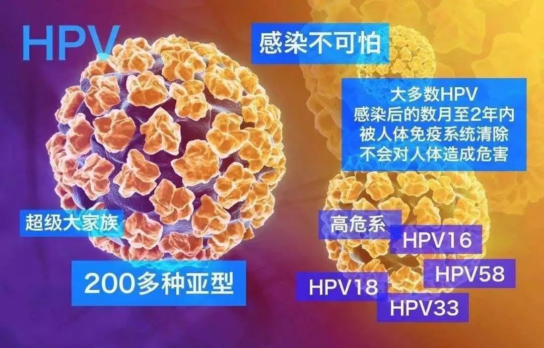 打了hpv疫苗还需要做宫颈癌筛查吗,宫颈癌疫苗是预防hpv的吗