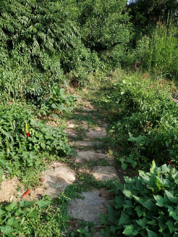 郴乐古道之水头江宜乐古道--广东省乐昌市庆云镇