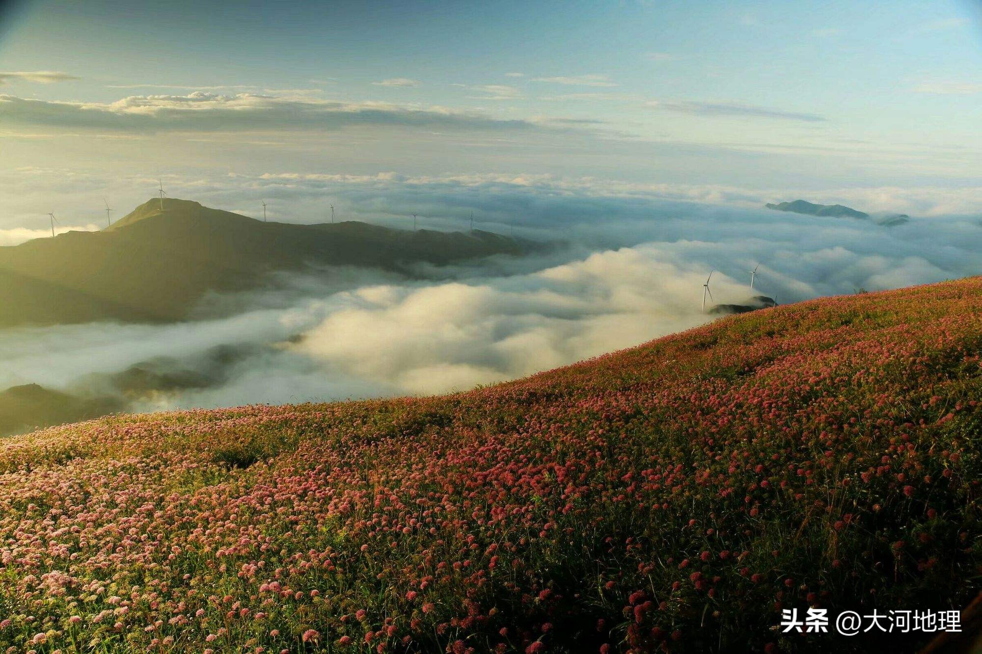 中国南方这30个景点,难说多知名,但敢说它的秋色最艳最浪漫