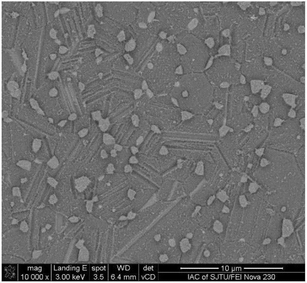 长周期有序堆积Mg基合金力学和腐蚀行为，它如何研究机理进展？