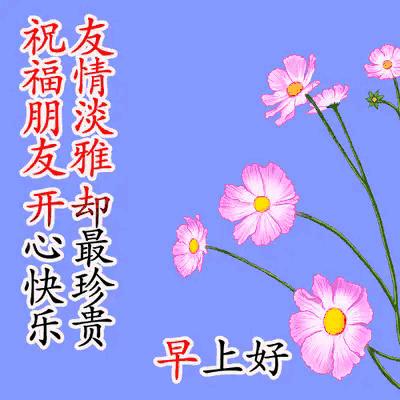 2023年03月03日星期五农历：癸卯年【兔年】二月十二八九第9天