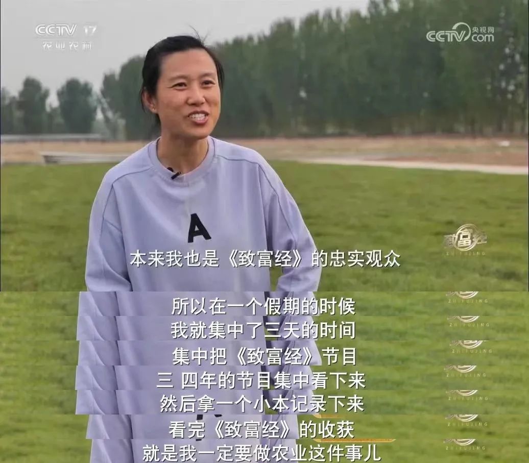 致富经栏目特色,cctv致富经栏目案例