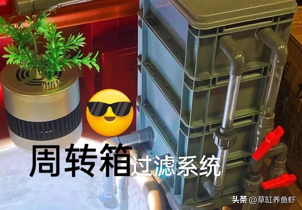 养鱼最强大的过滤桶,鱼缸养鱼必备过滤