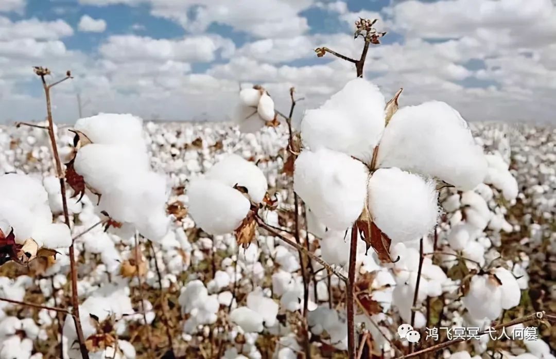 现代风格装修床品适合哪几种颜色,床品颜色和装修搭配