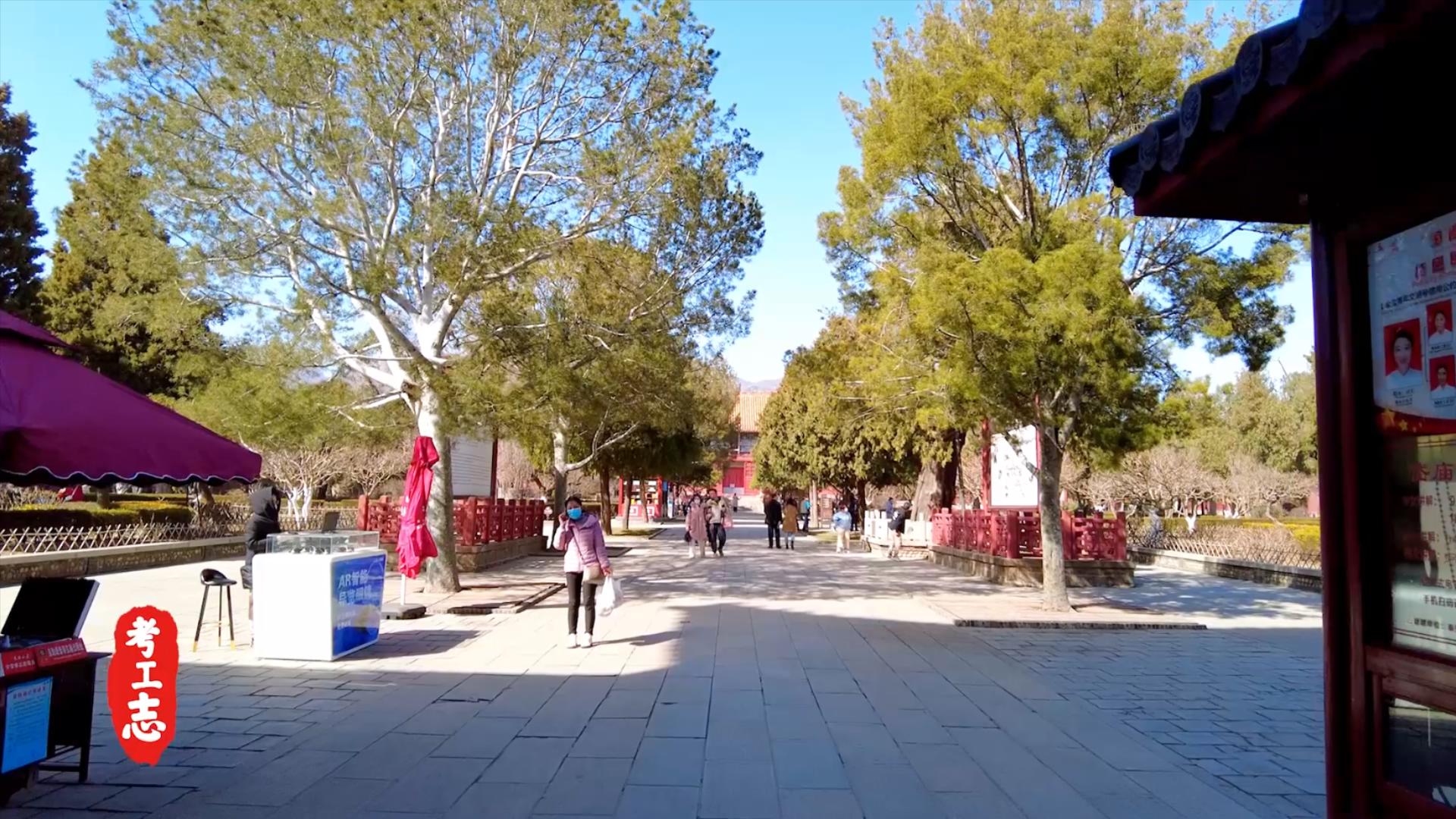 岱庙大还是故宫大,岱岱多大了