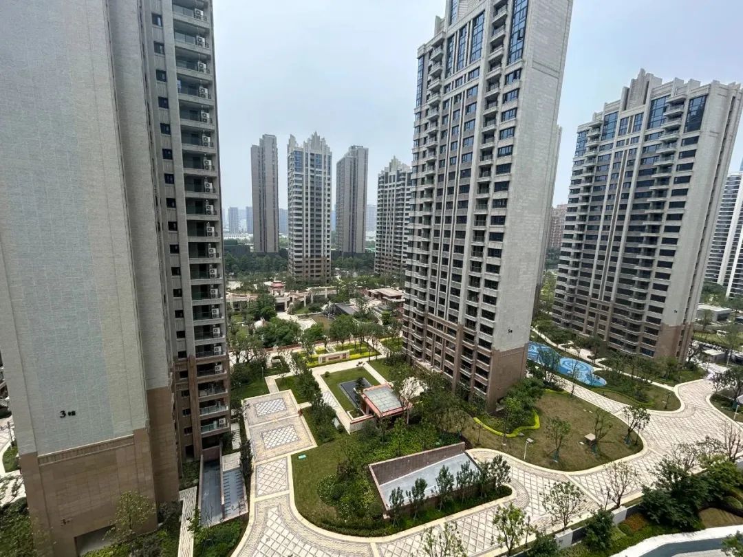 独苗！限价3万8的“四小金刚”板块，只有这里还有赚钱神话