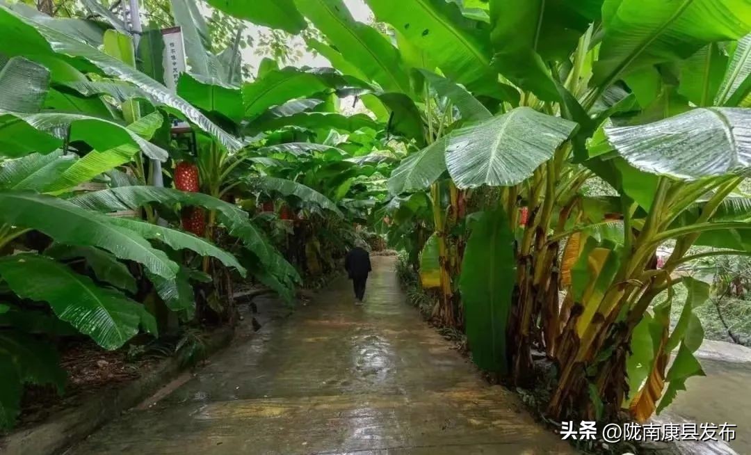 五一康养之旅,康养景区五一