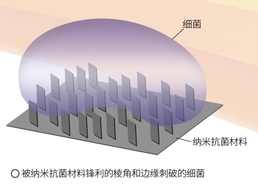 纳米银抗菌材料有哪些,纳米银抗菌剂有效果吗