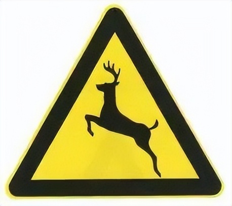 怪兽出没请避让,怪兽出没小心避让