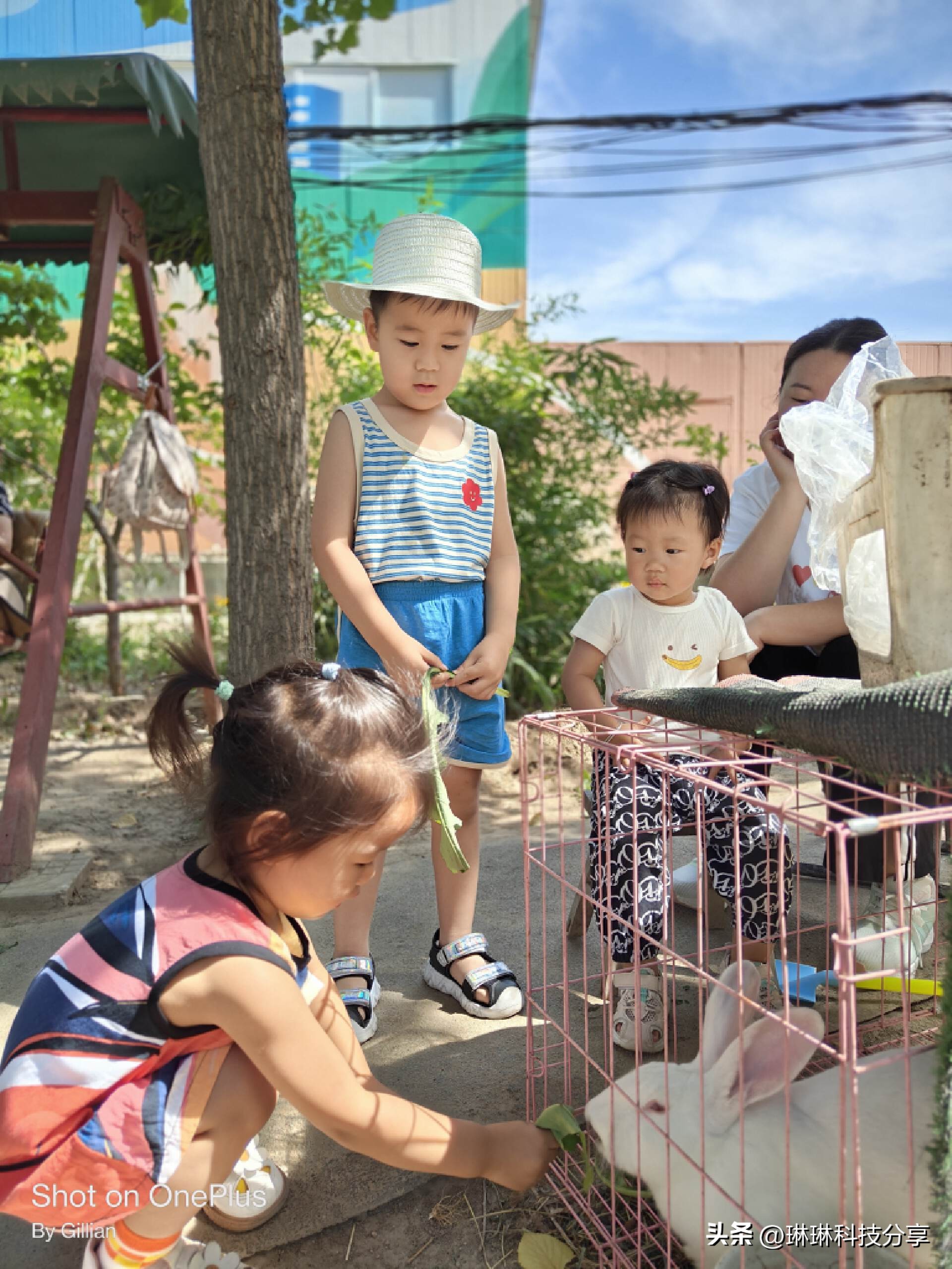 一加ace2使用感受真实,一加ace512