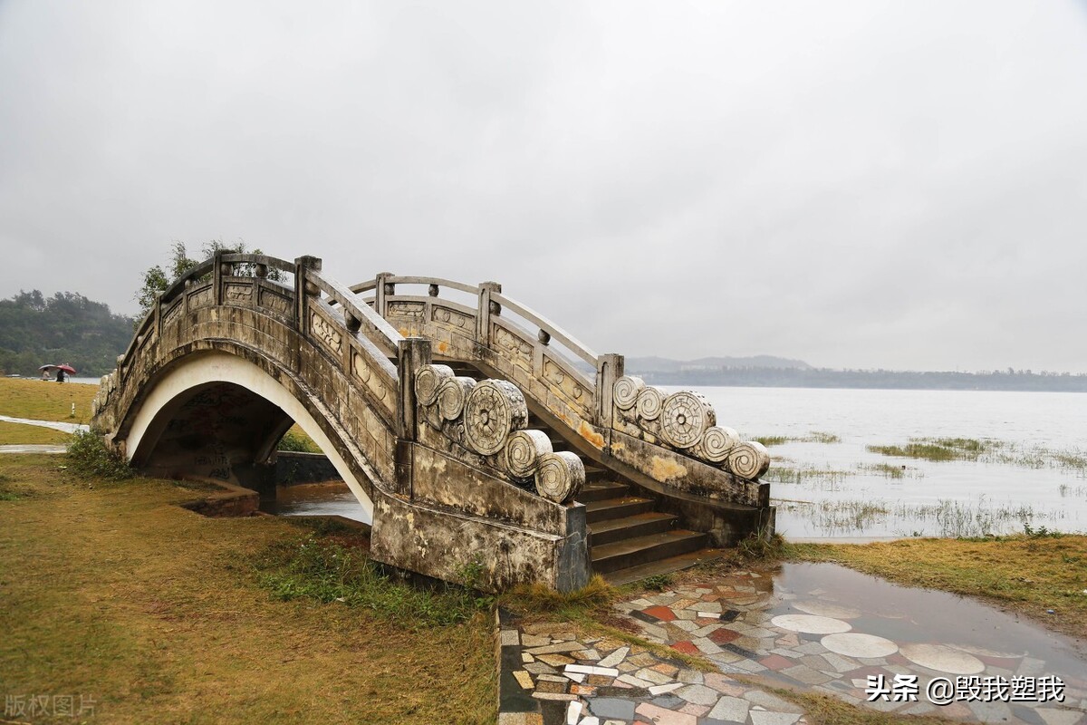 湛江哪里的鱼多,湛江章鱼属什么品种