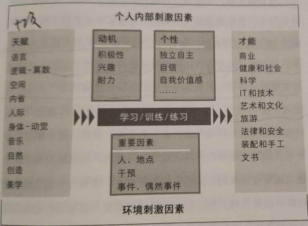 做擅长的事，还是喜欢的，3种量表，10条建议，帮你做对职业选择