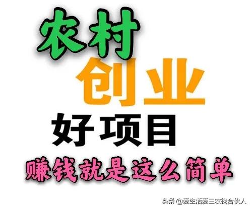 农村地摊十大暴利产品,农村十大暴利食品小作坊创业资讯
