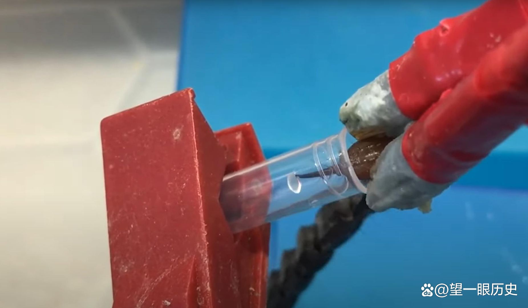 世界上最昂贵的液体，每升的血液值多少钱？告诉你答案