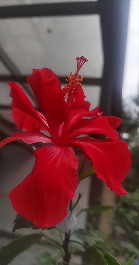 副业变现培训是什么套路,副业变现短视频课程