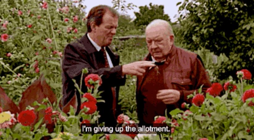 在英国自己种菜什么体验,在英国种菜小技巧有哪些