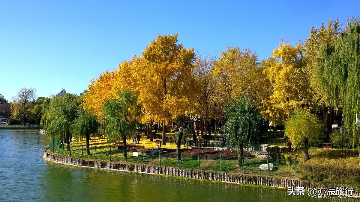 宁夏十一月旅游攻略图,宁夏周末旅游推荐地点最新