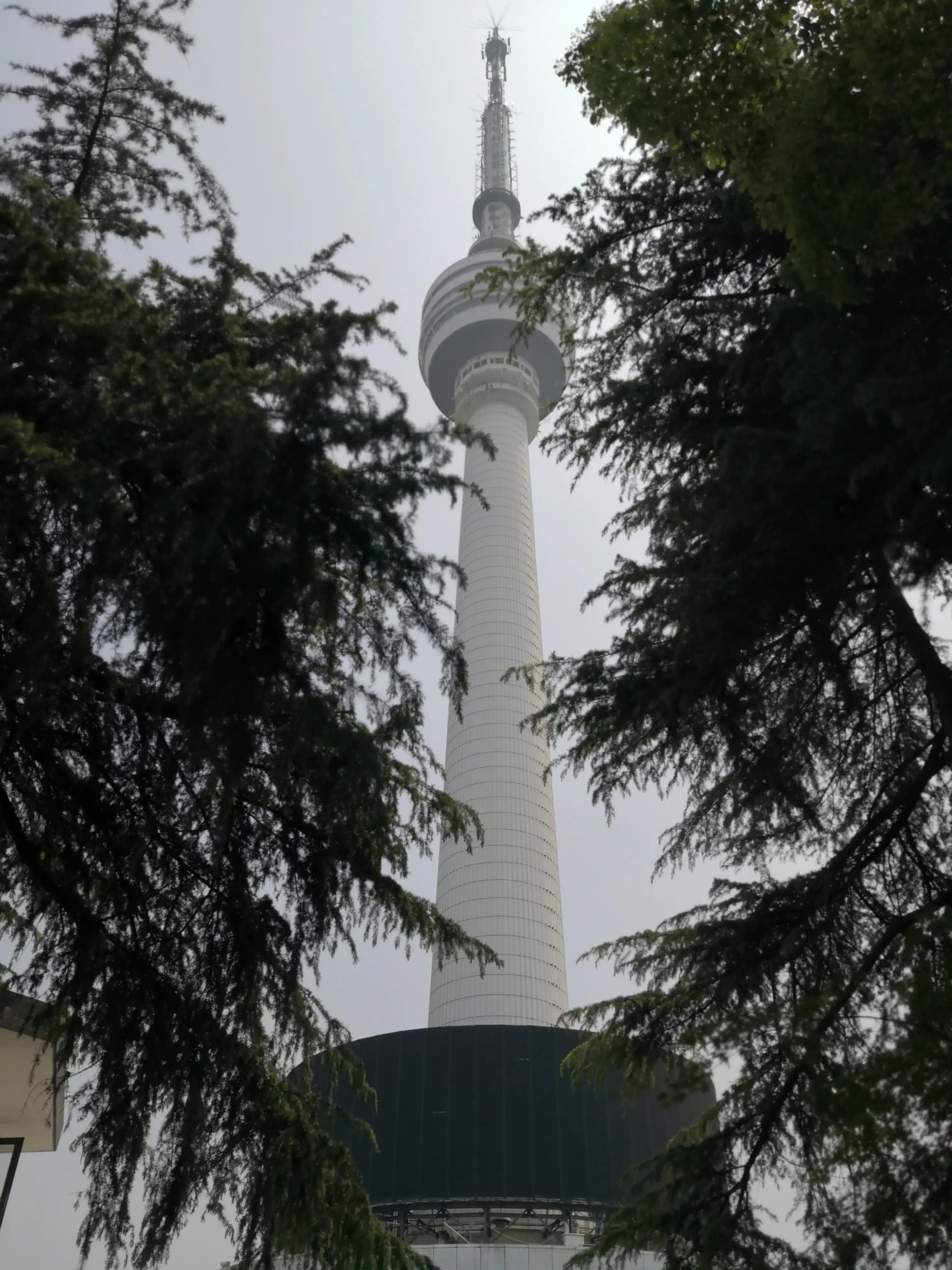 生日礼物原唱,生日礼物江涛