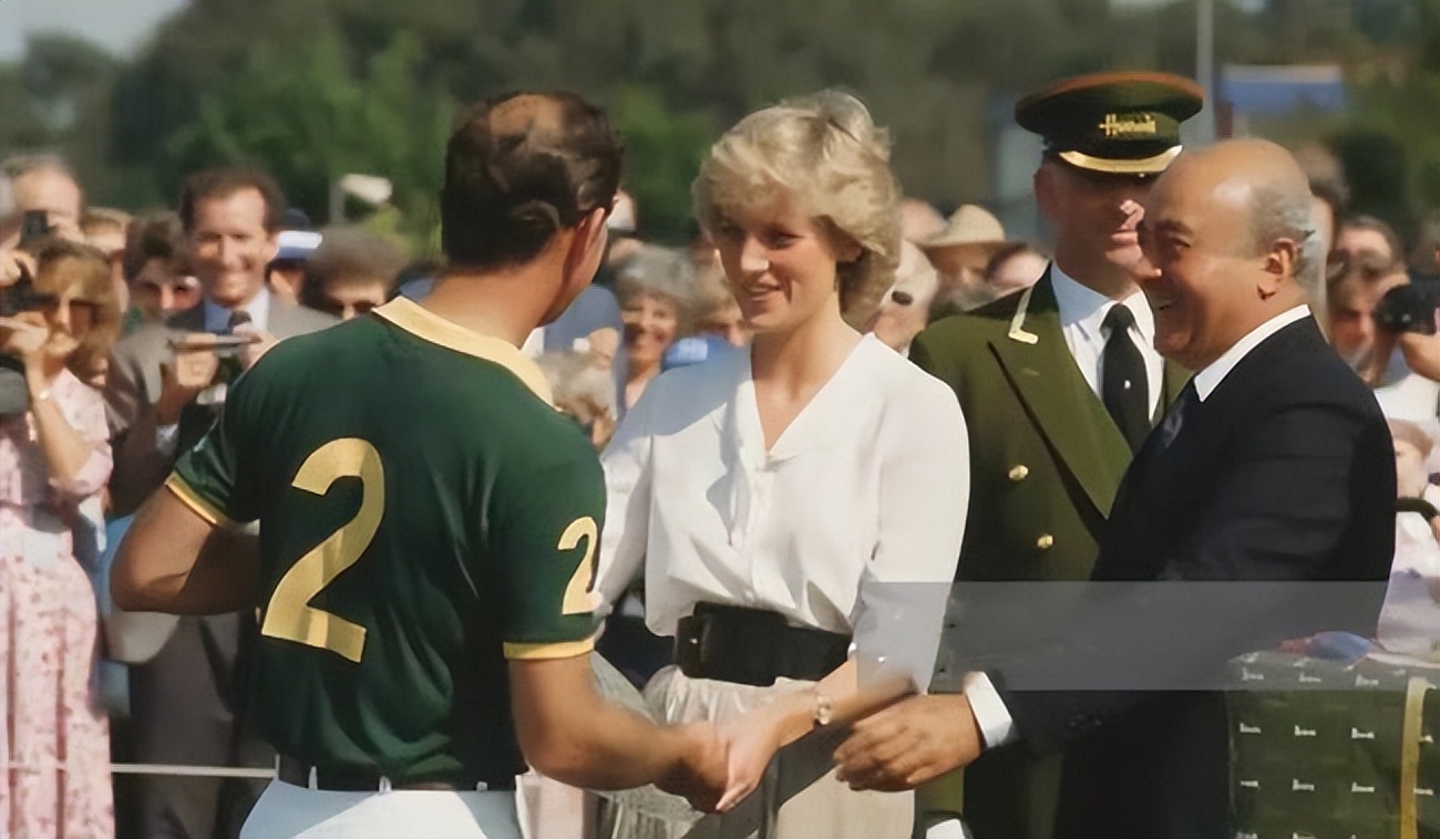 戴安娜和多迪分手原因,戴安娜和多迪什么关系