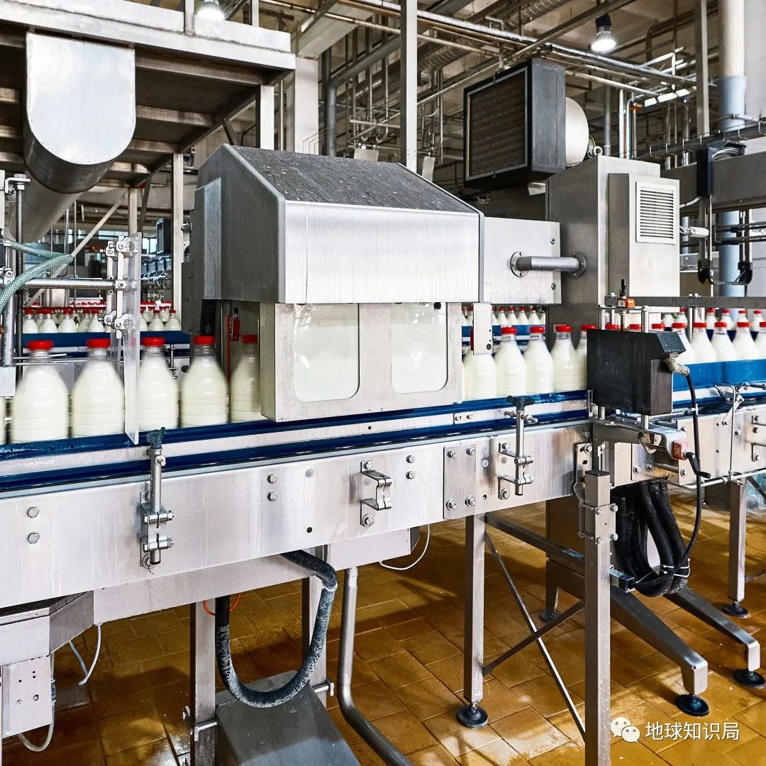 为啥有人喜欢吃没洗干净的猪大肠,猪大肠为什么不洗干净