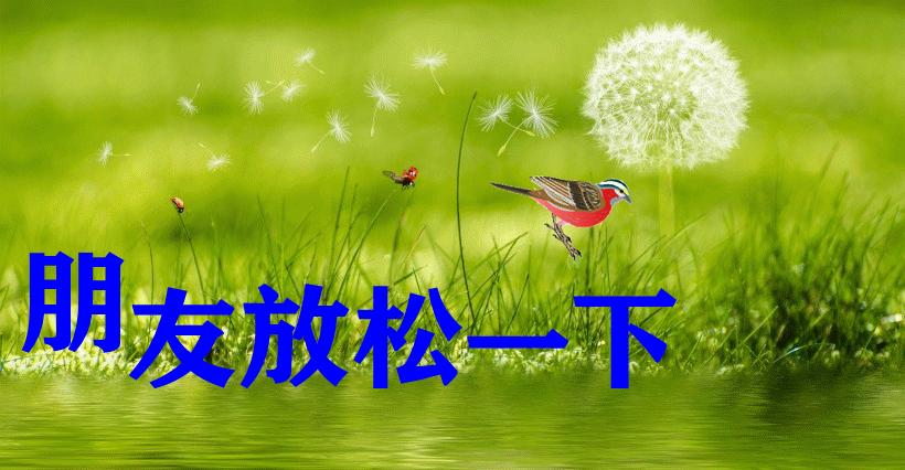 最新最美雨天早上好问候文字图片,夏日里最美的早晨问候图片大全