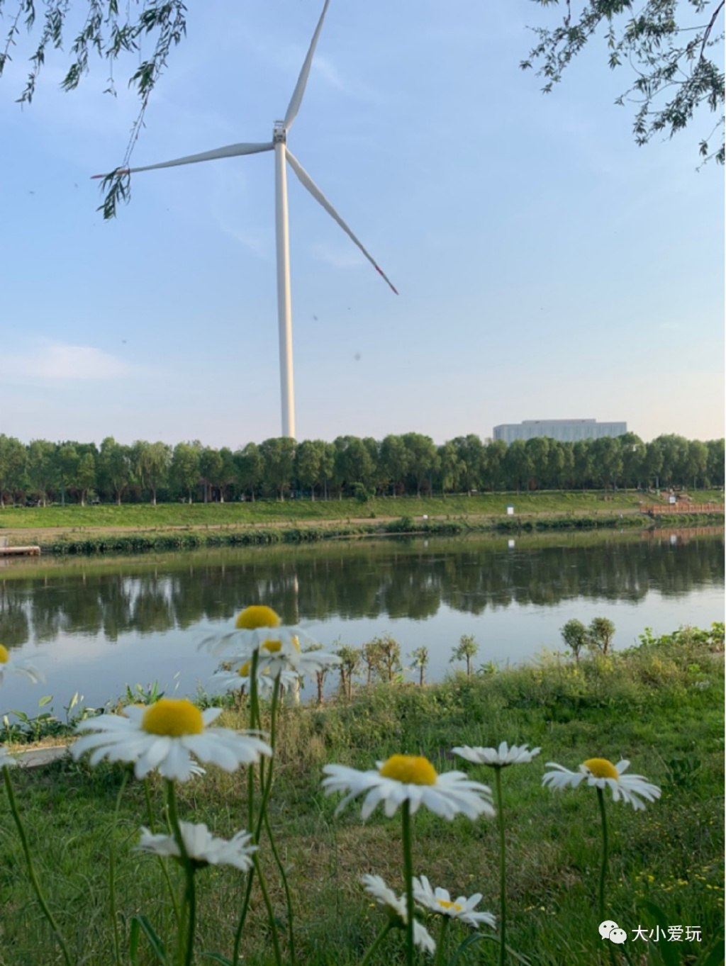 滨河公园带娃玩水,推荐一个好地方滨河公园